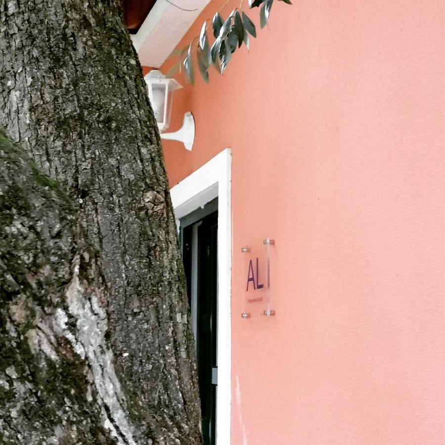 Casa das Laranjeiras e parque infantil Azeitão Exterior foto